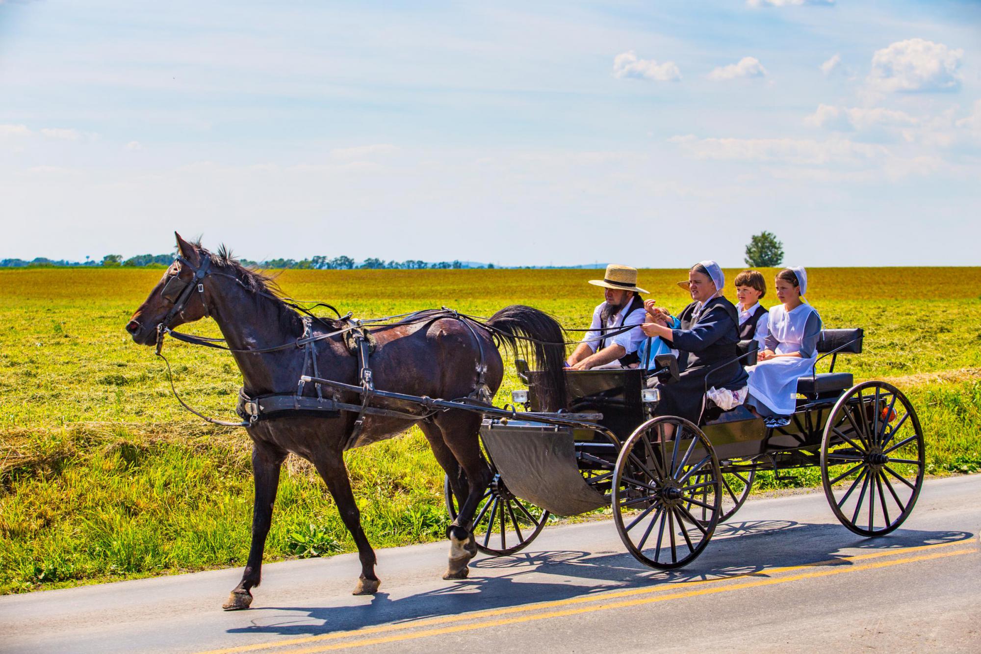 What Do Amish Children Learn In School